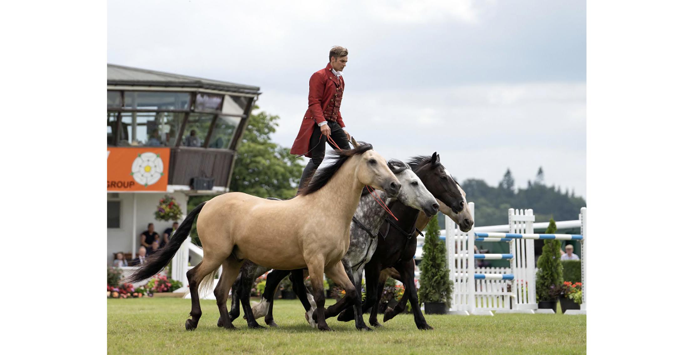 Atkinson Action Horses to put in performances at county show